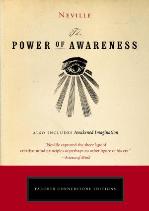 bigCover of the book The Power of Awareness by 
