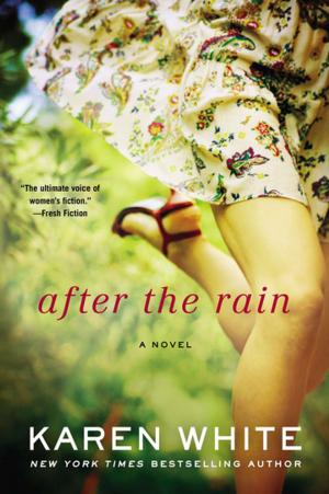 Cover of the book After the Rain by Daniel Suarez
