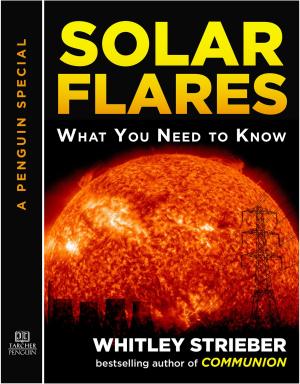 Cover of the book Solar Flares by Laurie Puhn