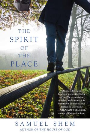 Cover of the book The Spirit of the Place by Rebecca Solnit