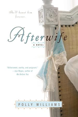 Cover of the book Afterwife by Liza Gyllenhaal
