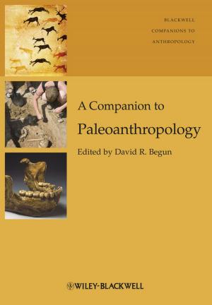 Cover of the book A Companion to Paleoanthropology by Joe Calloway