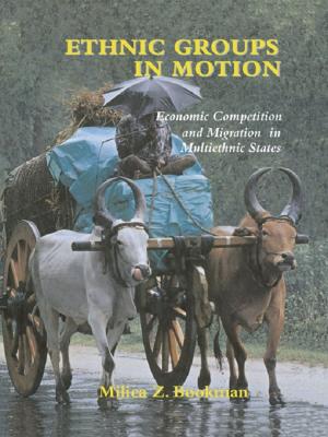 Cover of the book Ethnic Groups in Motion by Choi Chatterjee
