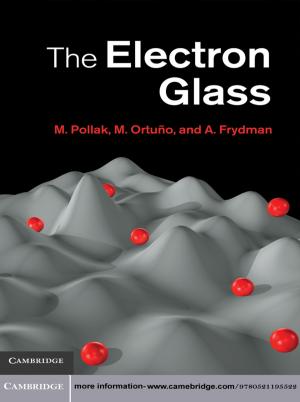 Book cover of The Electron Glass