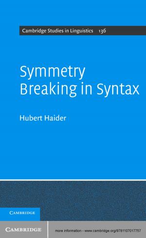 Cover of the book Symmetry Breaking in Syntax by Noa Naaman-Zauderer