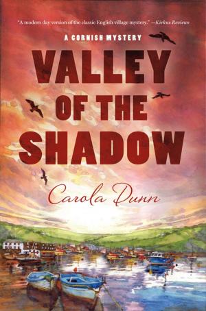 Cover of the book The Valley of the Shadow by John Brown