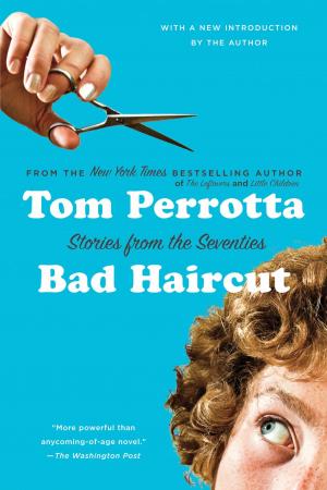 Cover of the book Bad Haircut by James A. Warren