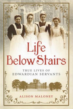 Book cover of Life Below Stairs