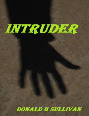 Cover of the book Intruder by Rebecca Cook