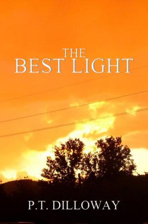 Cover of the book The Best Light by Patrick Dilloway