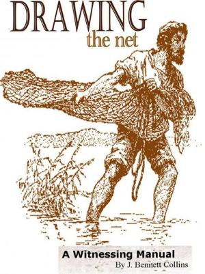 Book cover of Drawing The Net