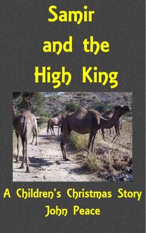 Book cover of Samir And The High King