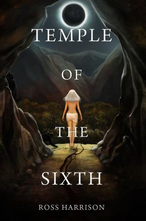 Cover of the book Temple of the Sixth by Serena Clarke