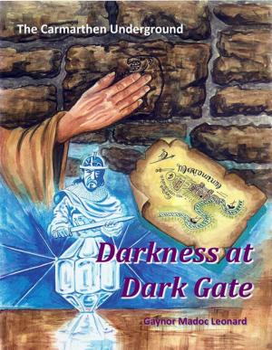 Book cover of The Carmarthen Underground: Darkness at Dark Gate