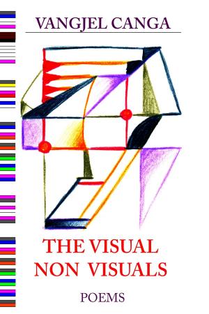 Book cover of The Visual Non Visuals