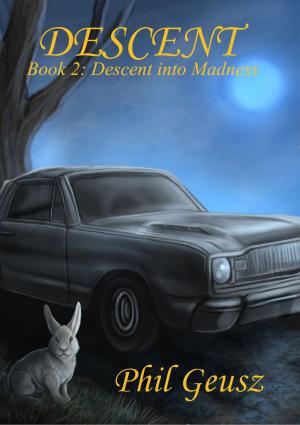 Cover of the book Descent Book 2: Descent into Madness by Celya Bowers
