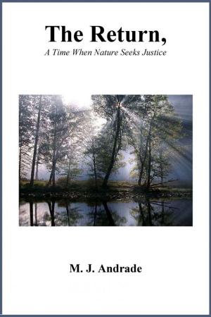 Cover of the book The Return, A Time When Nature Seeks Justice by Flash Fiction Online LLC