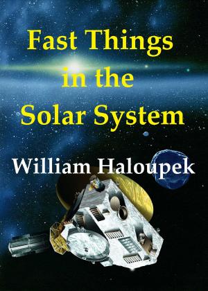Cover of Fast Things in the Solar System