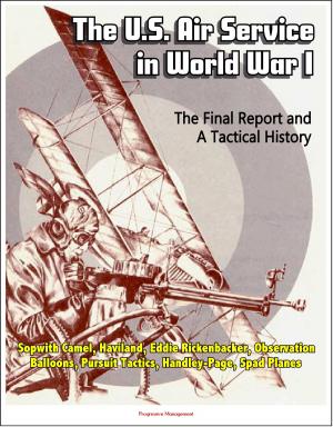Cover of the book The U.S. Air Service in World War I: The Final Report and A Tactical History - Sopwith Camel, Haviland, Eddie Rickenbacker, Observation Balloons, Pursuit Tactics, Handley-Page, Spad Planes by Progressive Management