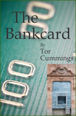 Cover of the book The Bankcard by Kathrin Heinrichs