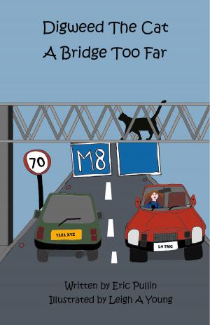 Cover of the book Digweed, the Cat A Bridge Too Far by Emjae Edwards