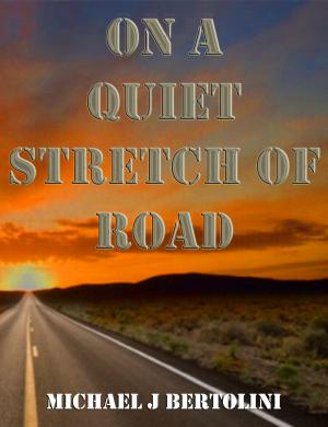 Cover of the book On A Quiet Stretch Of Road by Michael Bertolini