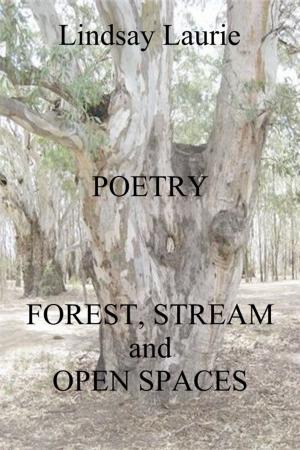 Cover of the book Forest, Stream, and Open Spaces by Dimitri Verhulst