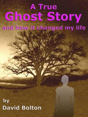 Cover of the book A True Ghost Story: and how it changed my life by David Bolton