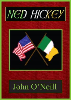 Book cover of Ned Hickey: A Hero of Two Revolutions