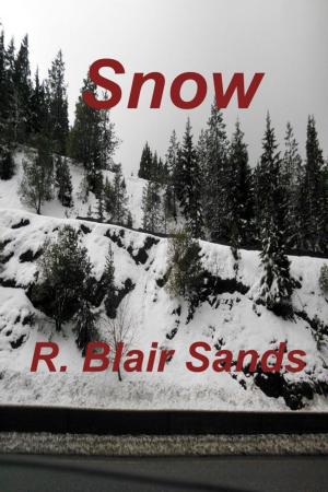 Book cover of Snow