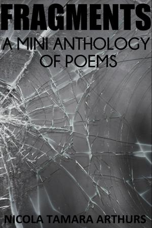 Cover of Fragments: A Mini Anthology of Poems