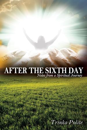 bigCover of the book After the Sixth Day: Notes from a Spiritual Journey by 