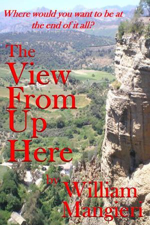 Cover of the book The View From Up Here by William Mangieri