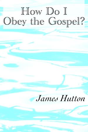 Cover of the book How Do I Obey the Gospel? by Margot Tesch