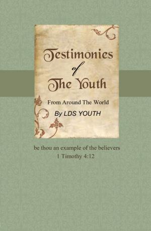 Cover of the book Testimonies of The Youth: From Around The World by Jerry Godsey