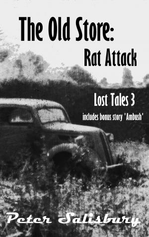 Book cover of Rat Attack (The Old Store: Lost Tales 3)