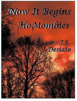Book cover of Now It Begins: HoMombies