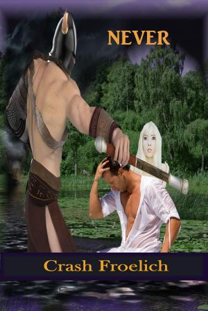 Cover of the book Never by Rose Winter