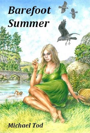 Cover of the book Barefoot Summer by Roohi Shah
