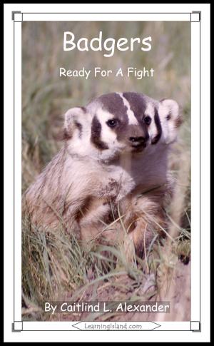 Cover of the book Badgers: Ready For A Fight by Jeannie Meekins