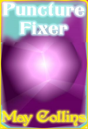 Cover of the book Puncture Fixer by Dan Liebman