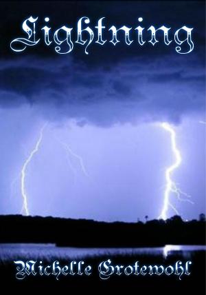 Cover of the book Lightning by Crystal Cierlak