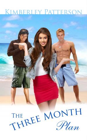 Cover of the book The Three Month Plan by Trisha Goel