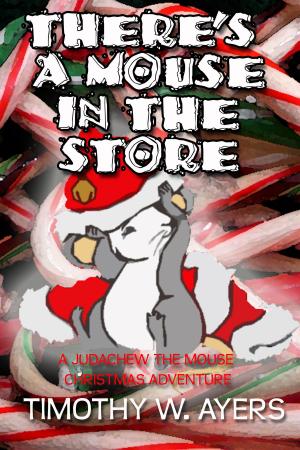 Book cover of There's a Mouse In the Store