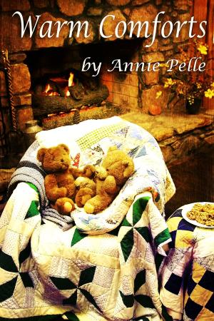 Book cover of Warm Comforts