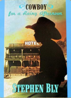 Book cover of Cowboy For A Rainy Afternoon