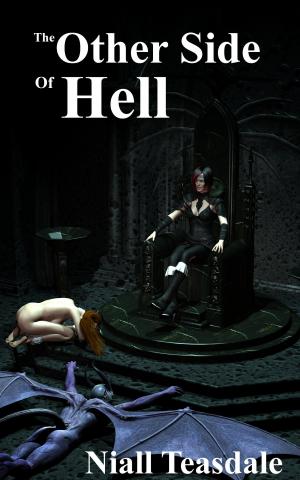 bigCover of the book The Other Side of Hell by 