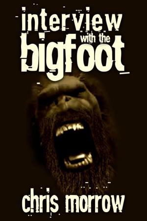 Cover of the book Interview with the Bigfoot by Carol A. Strickland