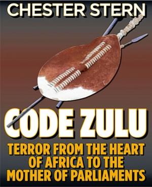 Cover of the book Code Zulu by Gérard de Villiers