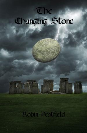 Book cover of The Changing Stone